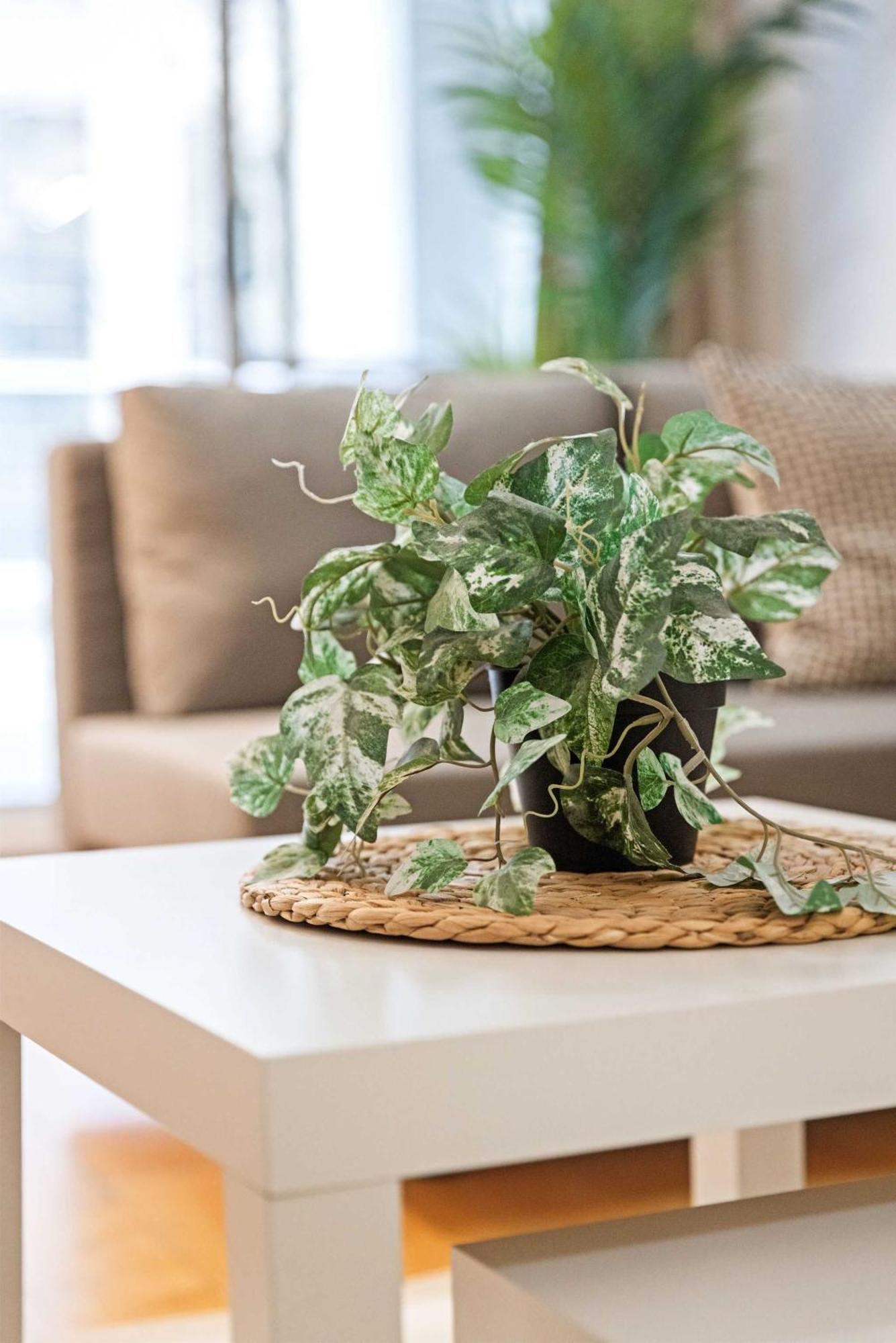 Cozy & Stylish For 6 Near Darling Harbour Sydney
